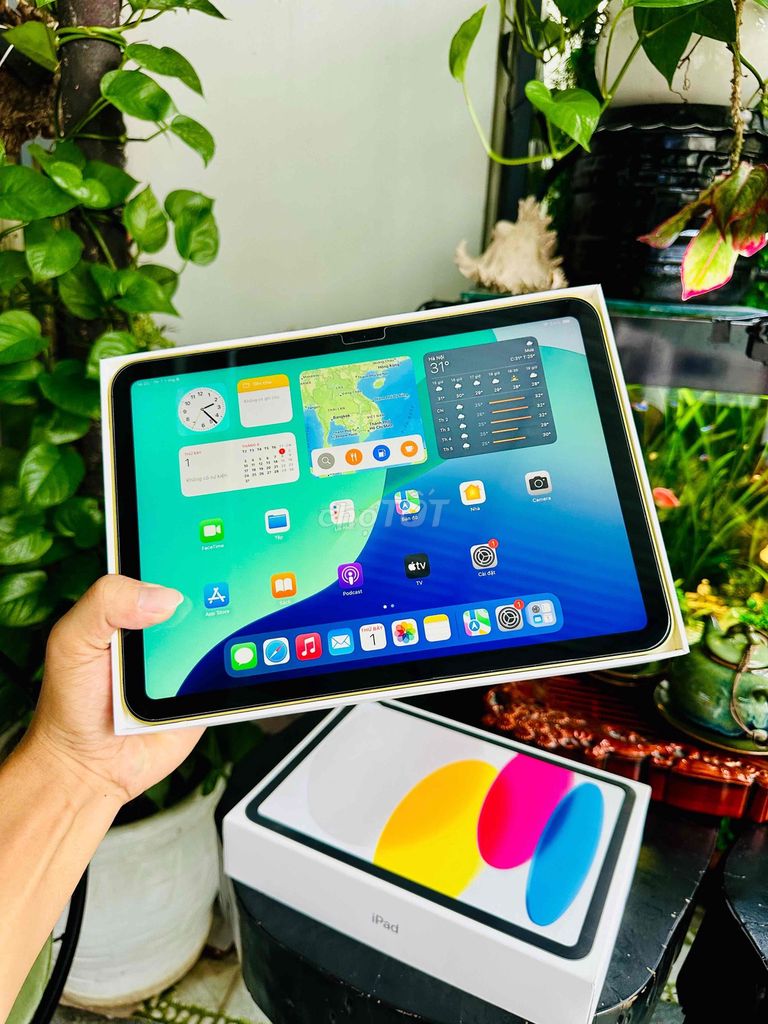 Apple iPad Gen 10 fullbox zin đẹp full. Mua bán Máy tính bảng tại Thành phố Nha Trang Khánh Hòa được đăng bởi Quý Pipoy hình 1