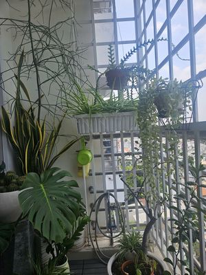 Căn hộ 92 m² · 2 PN · Đường Nguyễn Văn Đậu