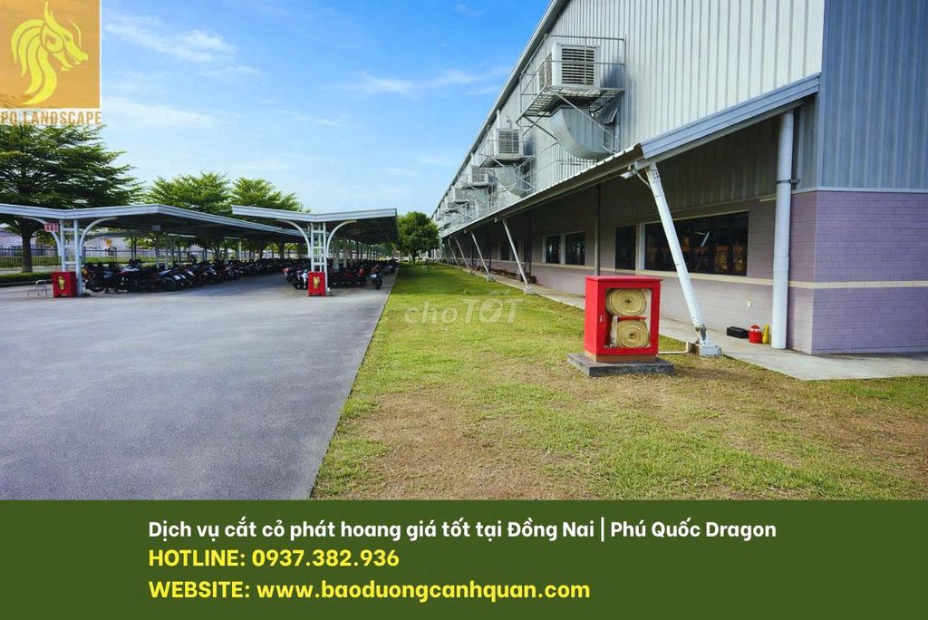Dịch vụ Cắt cỏ phát hoang Đồng Nai. Dịch vụ tại Thành phố Biên Hòa Đồng Nai được đăng bởi Quang Minh Landscape hình 1