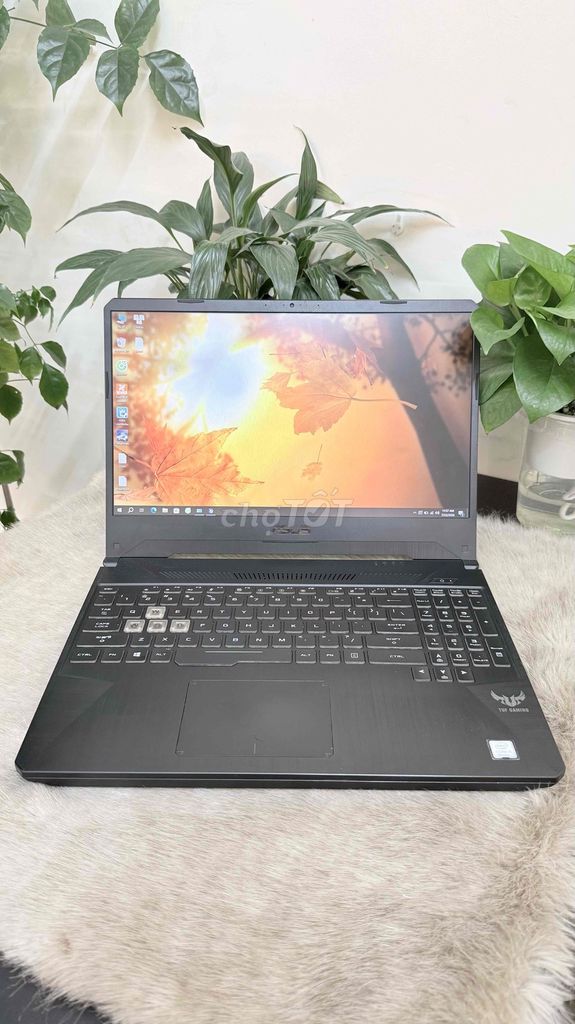 Asus TUF FX5*** inch 16GB/256GB/1050(4G). Mua bán Laptop tại Quận 5 Tp Hồ Chí Minh được đăng bởi PT Store Q5 HCM hình 1