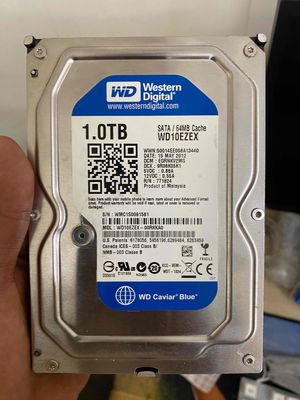 Ổ cứng hdd 1TB WD Bh 24T