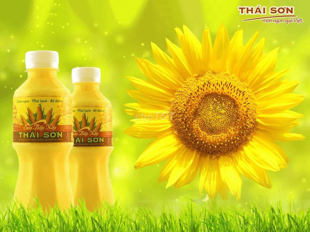 SỮA BẮP NẾP THÁI SƠN. Mua bán Đồ ăn, thực phẩm và các loại khác tại Quận Tân Bình Tp Hồ Chí Minh được đăng bởi Trang Nguyễn hình 1