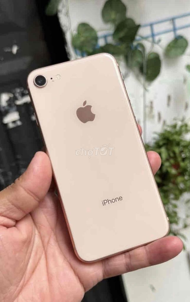 iphone 8 64gb zin full chức năng. Mua bán Điện thoại tại Quận 12 Tp Hồ Chí Minh được đăng bởi Nd hình 1