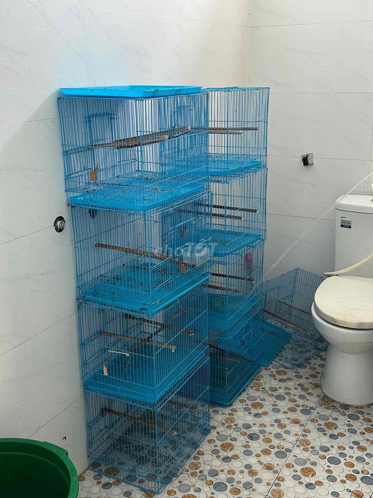 Lồng chim sắt màu xanh 80k/ cái. Mua bán Phụ kiện, Thức ăn, Dịch vụ tại Huyện Hòa Vang Đà Nẵng được đăng bởi Nhật huy hình 1