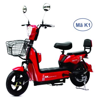Xe đạp điện 48v, 350w Bao gồm bình điện -