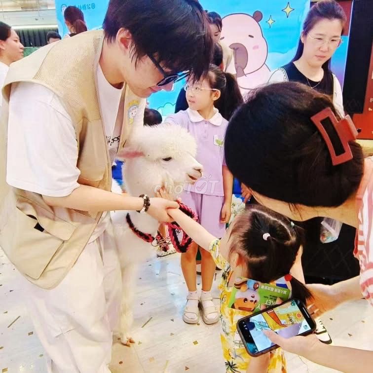 /viec-lam-thanh-pho-thu-duc-tp-ho-chi-minh/124017982.htm#px=SR-stickyad-[PO-6][PL-top]?i=4