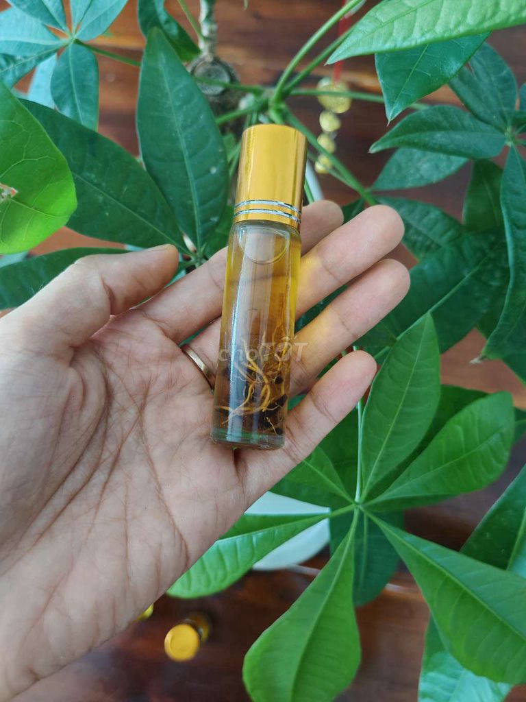 Dầu dạng lăn. Mua bán Phụ kiện thời trang khác tại Huyện Mỏ Cày Nam Bến Tre được đăng bởi trần kim phụng hình 1