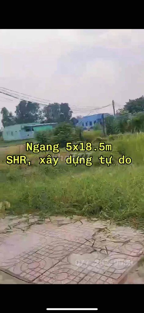 Đất Sổ Sẵn 5x 18m. Cách Chợ Bình Chánh 15Phút