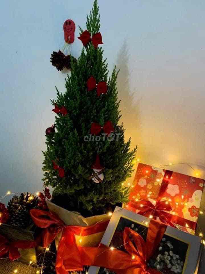 Về nhiều mã Sơn tùng cho ac decor noel