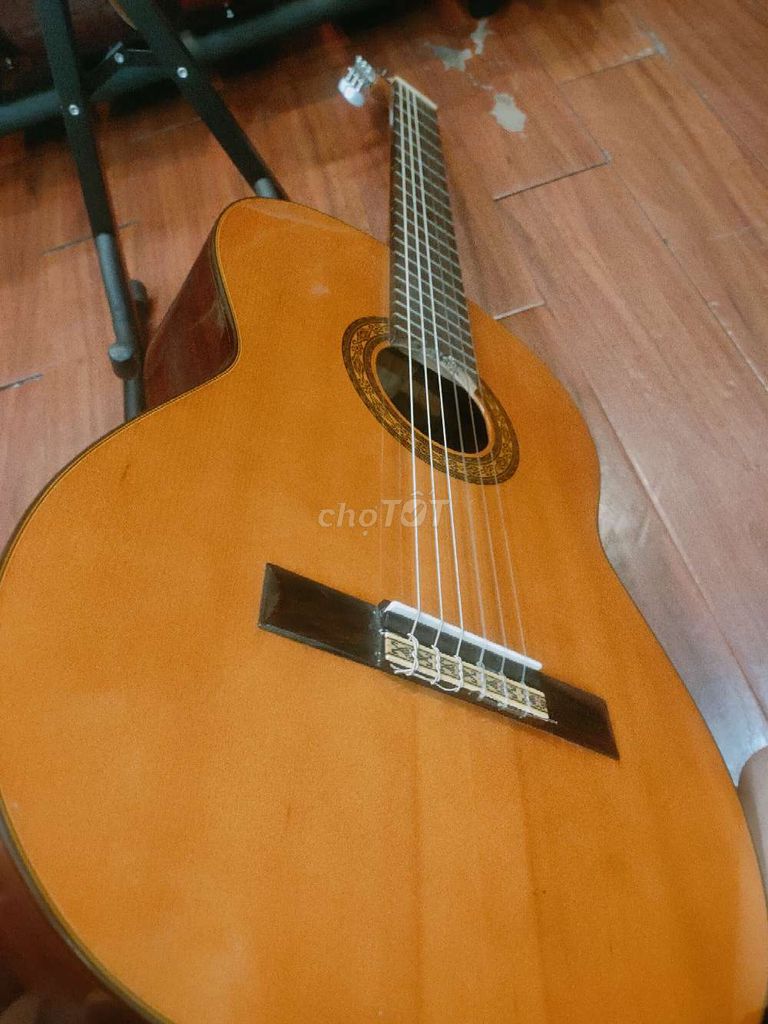 Guitar Suzuki No80