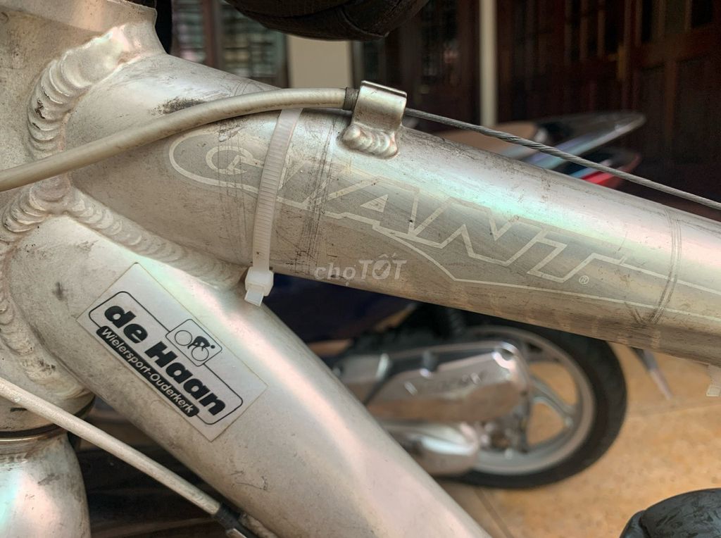 XE ĐAP ĐỊA HÌNH GIANT ĐIỆN KHUNG NHÔM VÀNH 700C.35. Mua bán Xe điện tại Quận 10 Tp Hồ Chí Minh được đăng bởi LUAN NGUYEN DINH hình 3