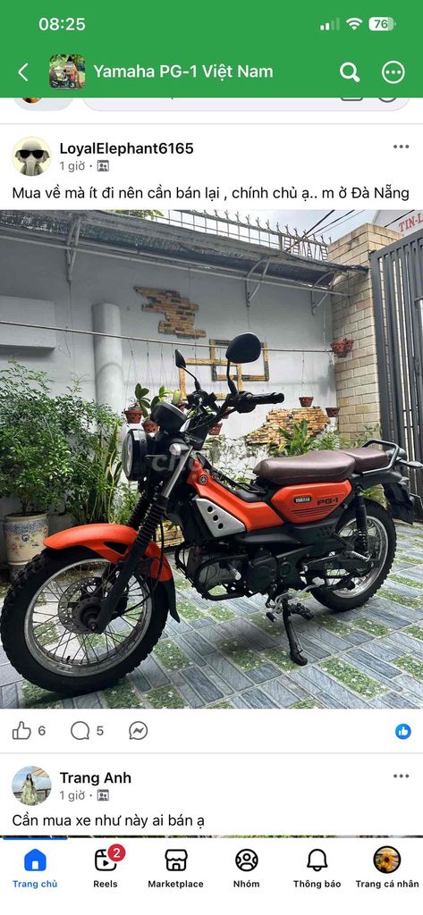 Yamaha PG-1 2023 Оранжевый