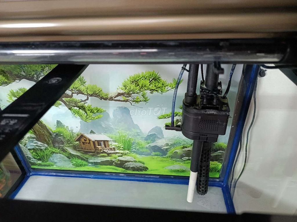Bể Cá Đúc Minjiang Size 60, Nhập Khẩu. Mua bán Phụ kiện, Thức ăn, Dịch vụ tại Huyện Đông Anh Hà Nội được đăng bởi aToan hình 1