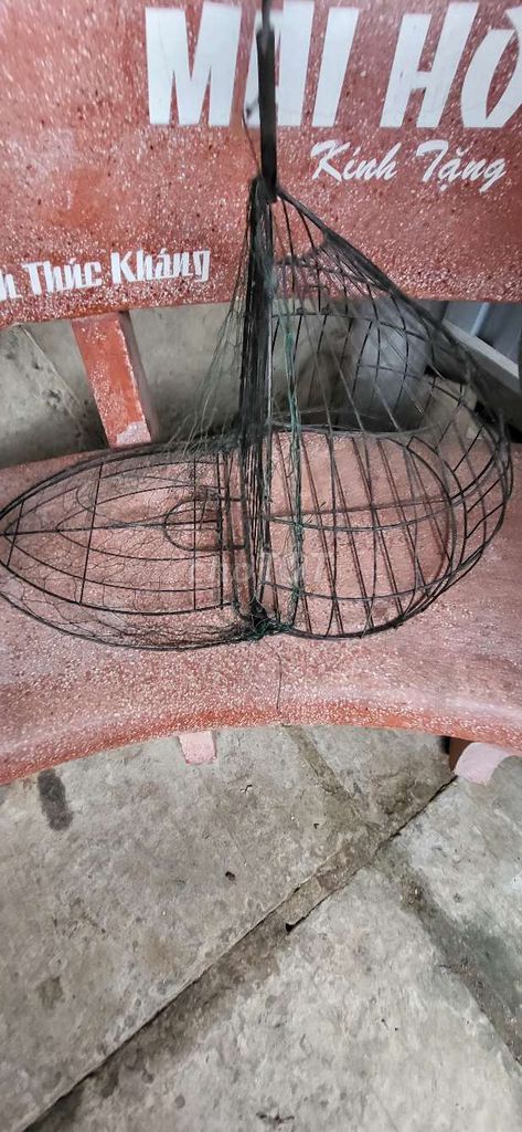 Lồng chim Kim loại Hồng, Xanh lá, Đen. Mua bán Phụ kiện, Thức ăn, Dịch vụ tại Quận Ninh Kiều Cần Thơ được đăng bởi CT Michaelbalut hình 1