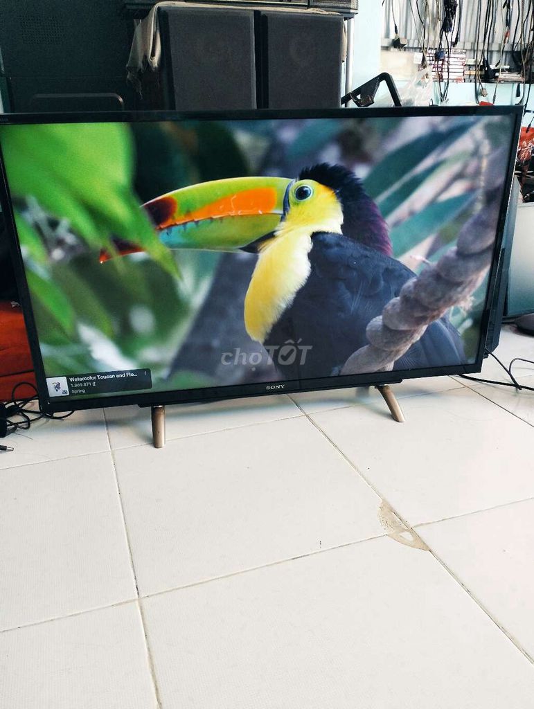 Tivi Sony 40 inch. Mua bán Tivi, Âm thanh tại Thành phố Châu Đốc An Giang được đăng bởi Nguyễn Trí  hình 1