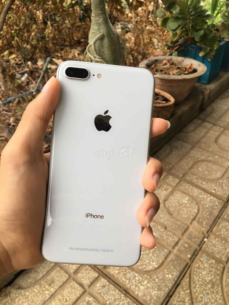 iPhone 8 plus 64gb trắng