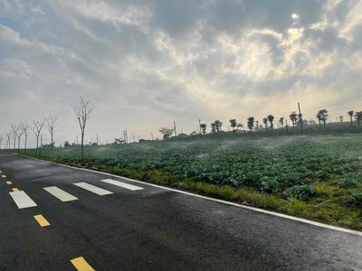Cần bán trả nợ đất view đẹp xã Lộc Đức, dt 100m2 350TR