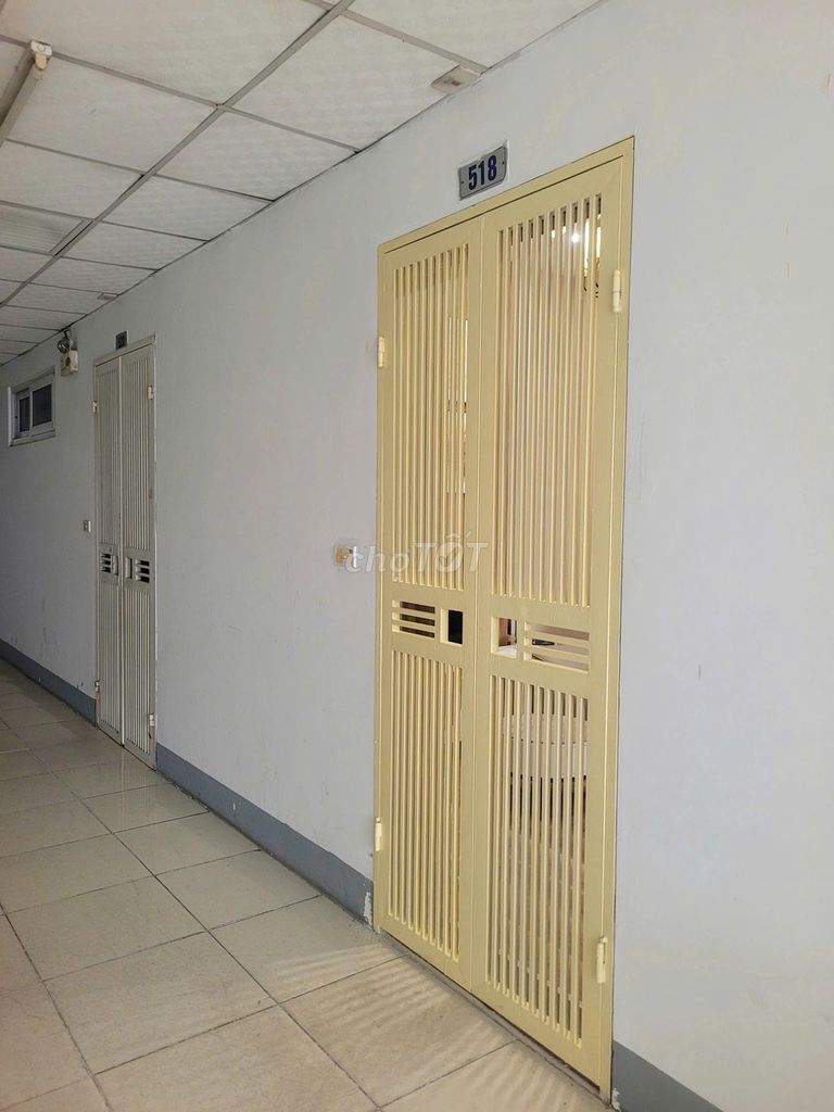 Ảnh 5