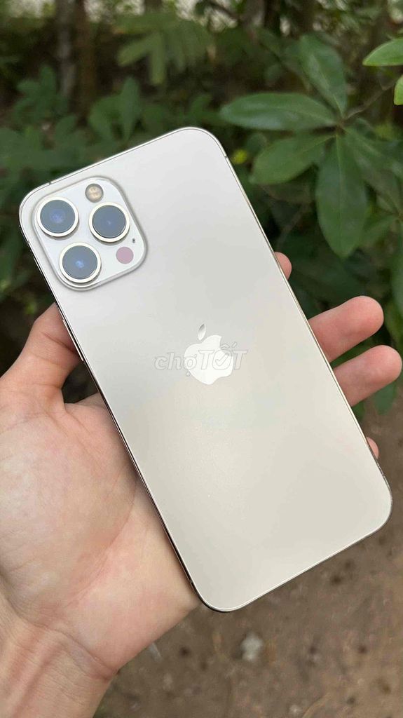 iPhone 12 ProMax 256GB Quốc Tế zin đẹp 99%. Mua bán Điện thoại tại Huyện Kế Sách Sóc Trăng được đăng bởi CN hình 1