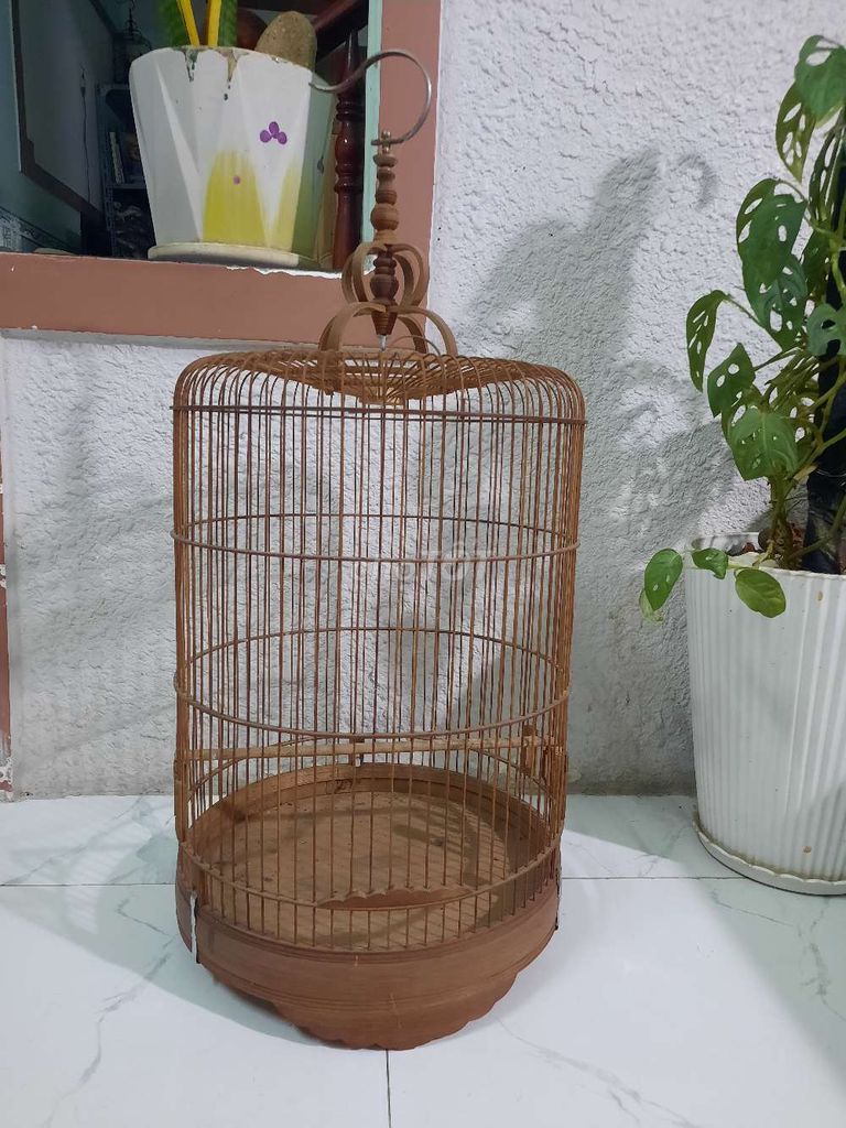 Thanh lý giá rẻ 2 lồng chim chòe đất 30*40cm. Mua bán Phụ kiện, Thức ăn, Dịch vụ tại Huyện Hóc Môn Tp Hồ Chí Minh được đăng bởi Yuki hình 3
