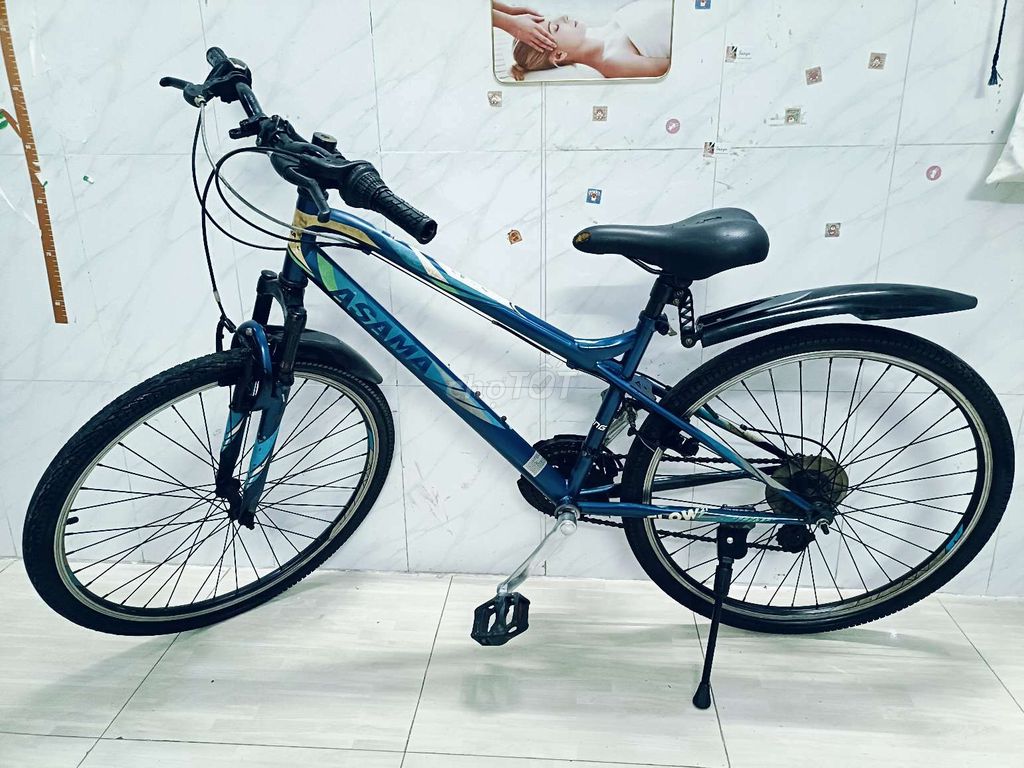 Xe đạp thể thao 26 inch ASAMA BLUE G660