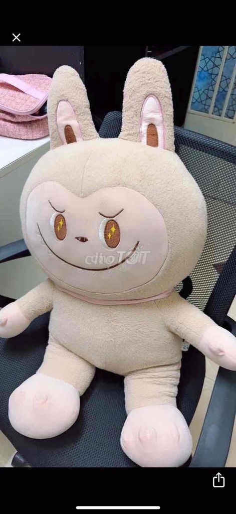 4 con gấu như hình 200k