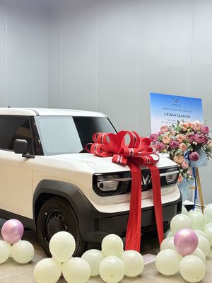 VF3 TRẢ TRƯỚC CHỈ 24 TRIỆU NHẬN XE. Mua bán Ô tô tại Quận Cái Răng Cần Thơ được đăng bởi Huỳnh Nhã Vinfast Quốc Việt Cần Thơ