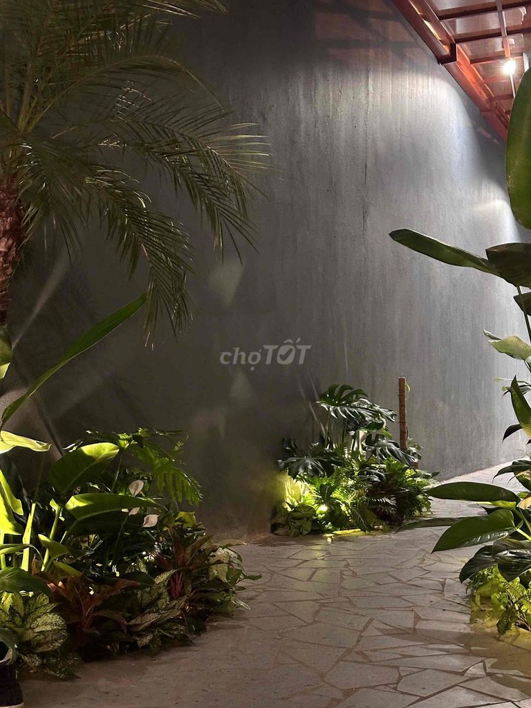 🌿 cho thuê biệt thự sân vườn đẳng cấp – cận kề cầu rồng & biển mỹ khê