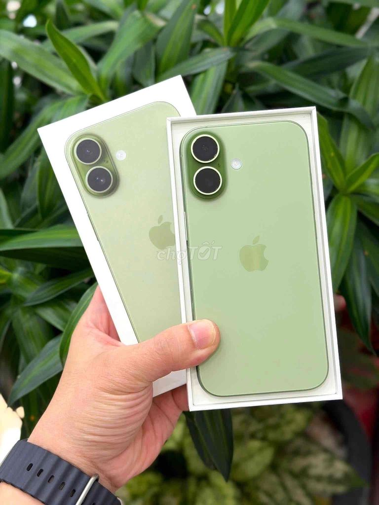 iPhone 17  256Gb Matcha FULLBOX APPLE 2026. Mua bán Điện thoại tại Quận Thanh Xuân Hà Nội được đăng bởi Nguyễn Huy Dũng hình 1