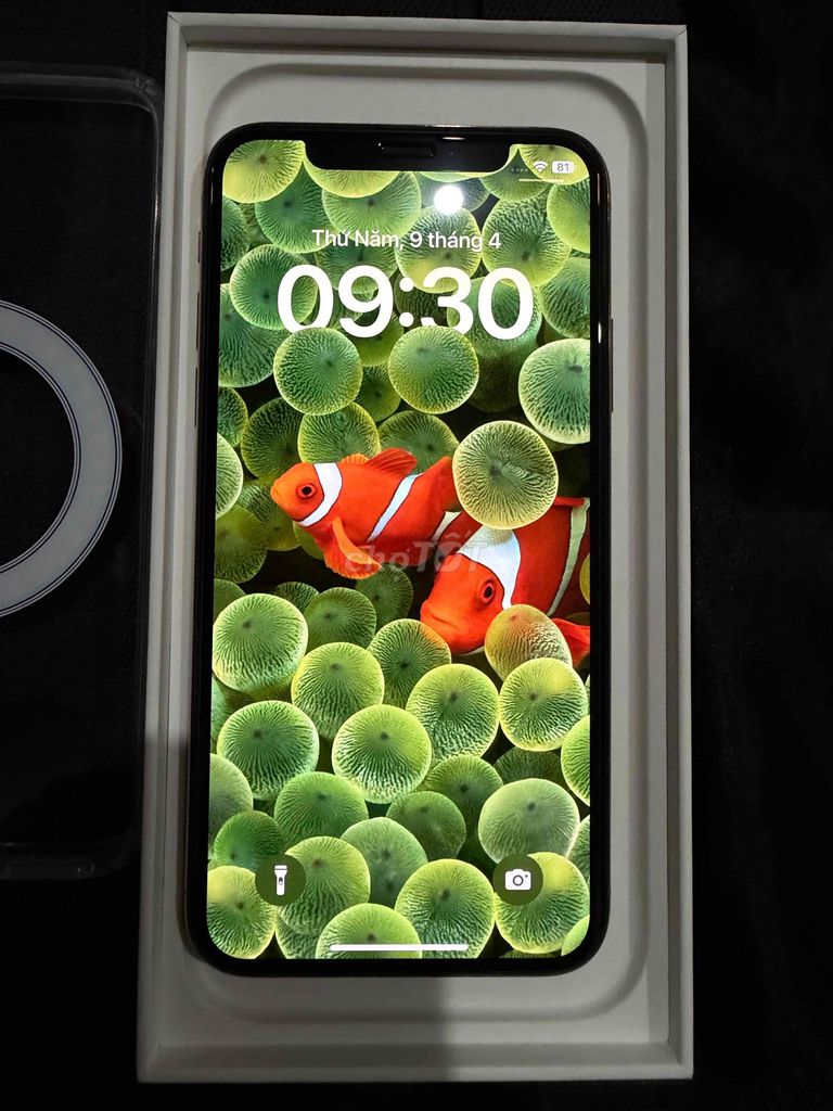 Apple iPhone Xs Vàng. Mua bán Điện thoại tại Thị xã Phú Mỹ Bà Rịa - Vũng Tàu được đăng bởi Nicelip hình 1
