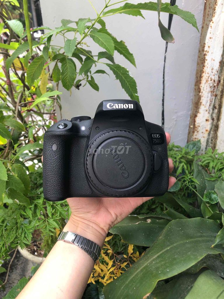 Máy ảnh Canon EOS 750D kèm kit. Mua bán Máy ảnh, Máy quay tại Quận Phú Nhuận Tp Hồ Chí Minh được đăng bởi Lam Vy  hình 1