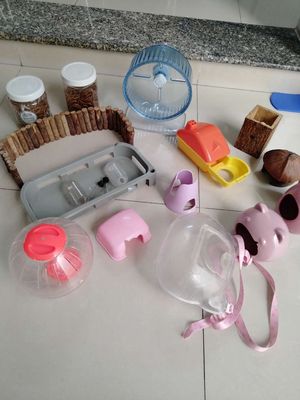 Phụ kiện thức ăn cho thú cưng chuột hamster. Mua bán Phụ kiện, Thức ăn, Dịch vụ tại Quận Phú Nhuận Tp Hồ Chí Minh được đăng bởi Chị Hằng