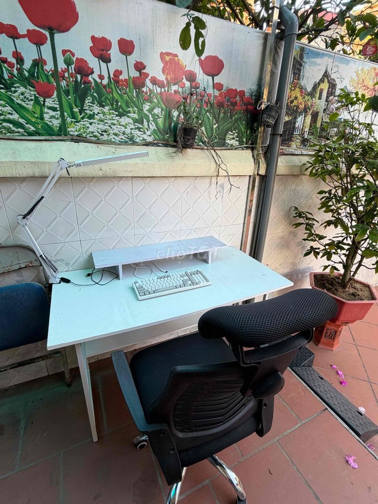 Combo bàn ghế đèn phím. Mua bán Đồ dùng văn phòng tại Quận Nam Từ Liêm Hà Nội được đăng bởi Hưng hình 1