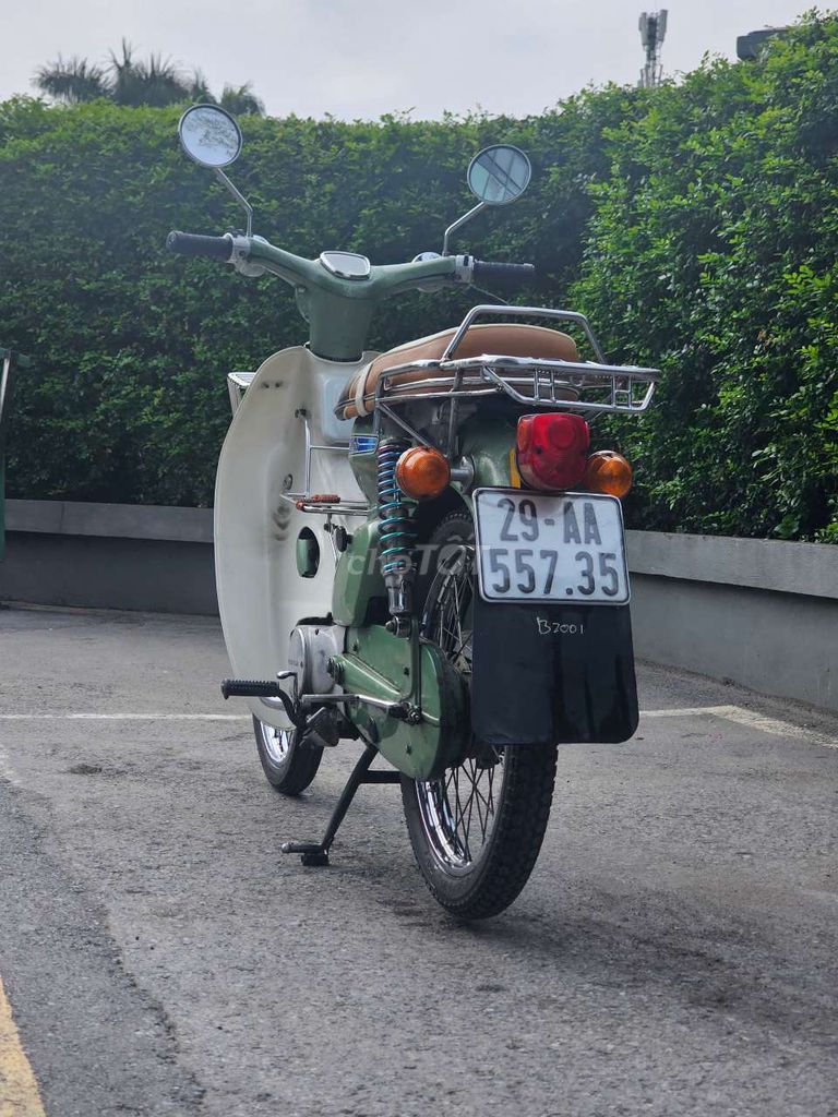 Крыло ласточки с зеленой головой оленя Honda Cub 79