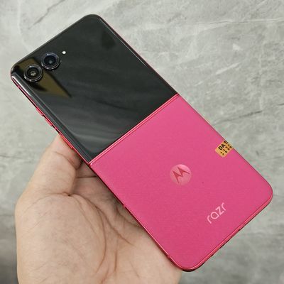 Motorola Razr 50 Ultra 5G 256GB Hồng