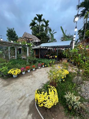 bán căn nhà vườn tâm huyết tại thôn hòa phước, hòa phú, đà nẵng