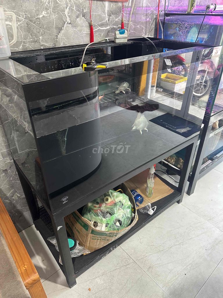 hồ + chân Kính cường lực 100x50x50cm. Mua bán Phụ kiện, Thức ăn, Dịch vụ tại Thành phố Vĩnh Long Vĩnh Long được đăng bởi Đỉnh Nguyễn hình 1