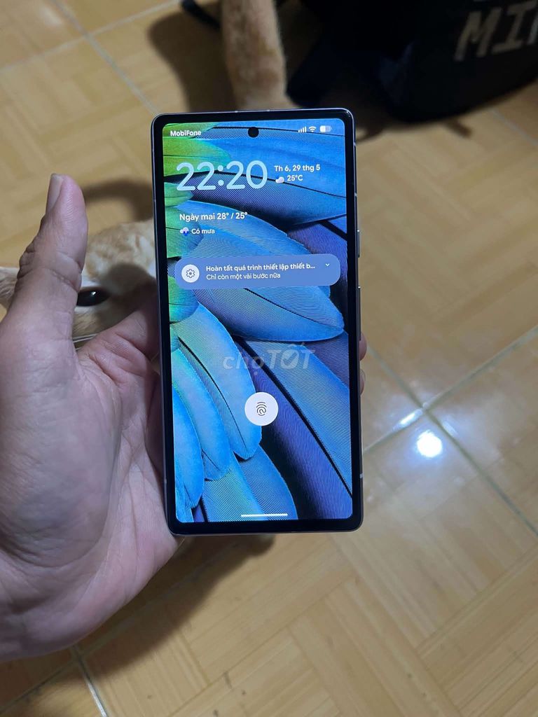 Google Pixel 7a Trắng Đã sử dụng. Mua bán Điện thoại tại Quận Ninh Kiều Cần Thơ được đăng bởi sang hình 1