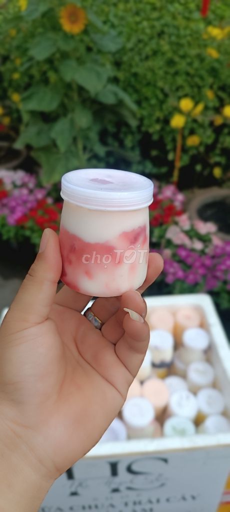 Sữa chua trái cây tự nhiên nhà làm Shop Huỳnh Shin