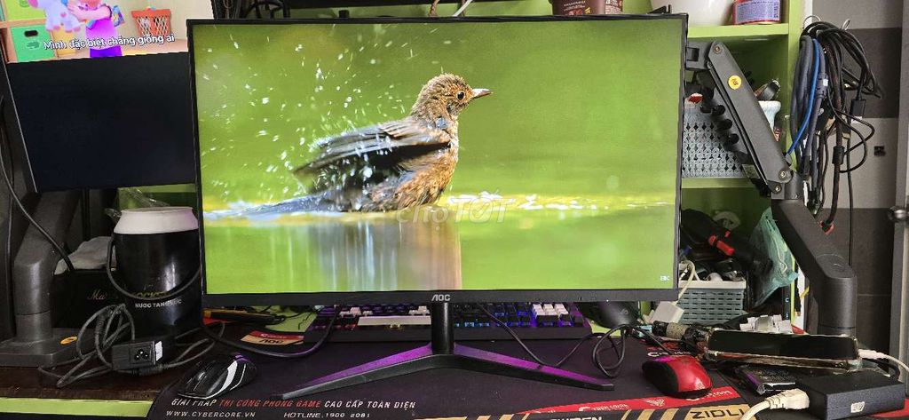 Màn hình AOC 27B1H 27 inch, tấm nền ips, 60hz. Mua bán Phụ kiện (Màn hình, Chuột...) tại Quận Bình Tân Tp Hồ Chí Minh được đăng bởi Linh hình 1
