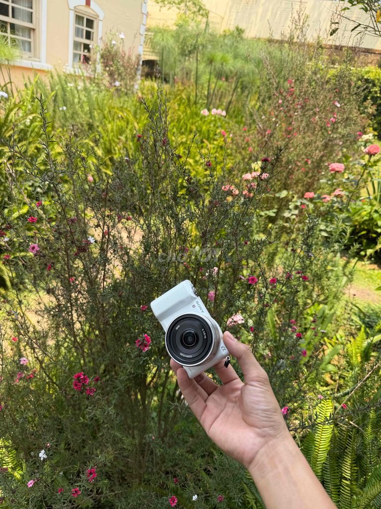 sony a5000 đẹp. Mua bán Máy ảnh, Máy quay tại Thành phố Đà Lạt Lâm Đồng được đăng bởi phong hình 1