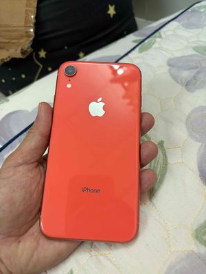 Iphone XR quốc tế máy zin all nhà xài. Mua bán Điện thoại tại Quận 10 Tp Hồ Chí Minh được đăng bởi Mì Sa Tế