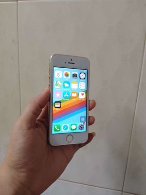 iPhone 5s 16GB Quốc Tế