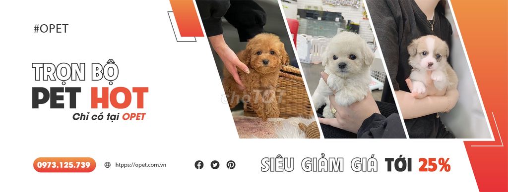 O PET - Animal Shop tại Quận Hoàng Mai, Hà Nội hình 3
