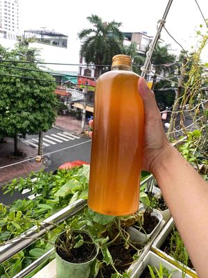 MẬT ONG RỪNG RUỒI 825k/ lít. Mua bán Đồ ăn, thực phẩm và các loại khác tại Quận Bình Tân Tp Hồ Chí Minh được đăng bởi Nguyễn Hoài Vũ