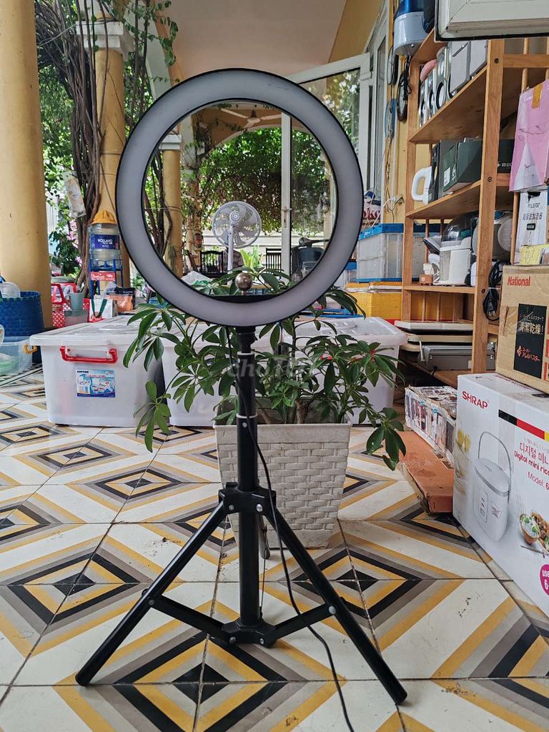 Đèn livestream Đen 65cm. Mua bán Đèn tại Quận 7 Tp Hồ Chí Minh được đăng bởi Vy Vy hình 1