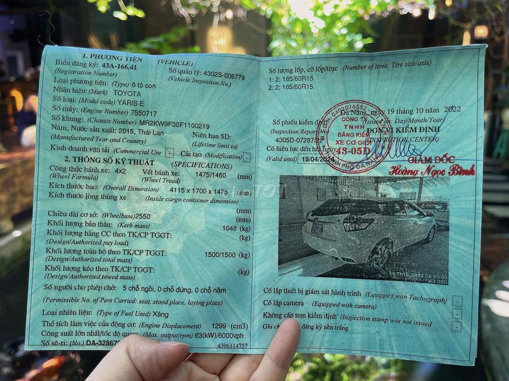 Ảnh số 5