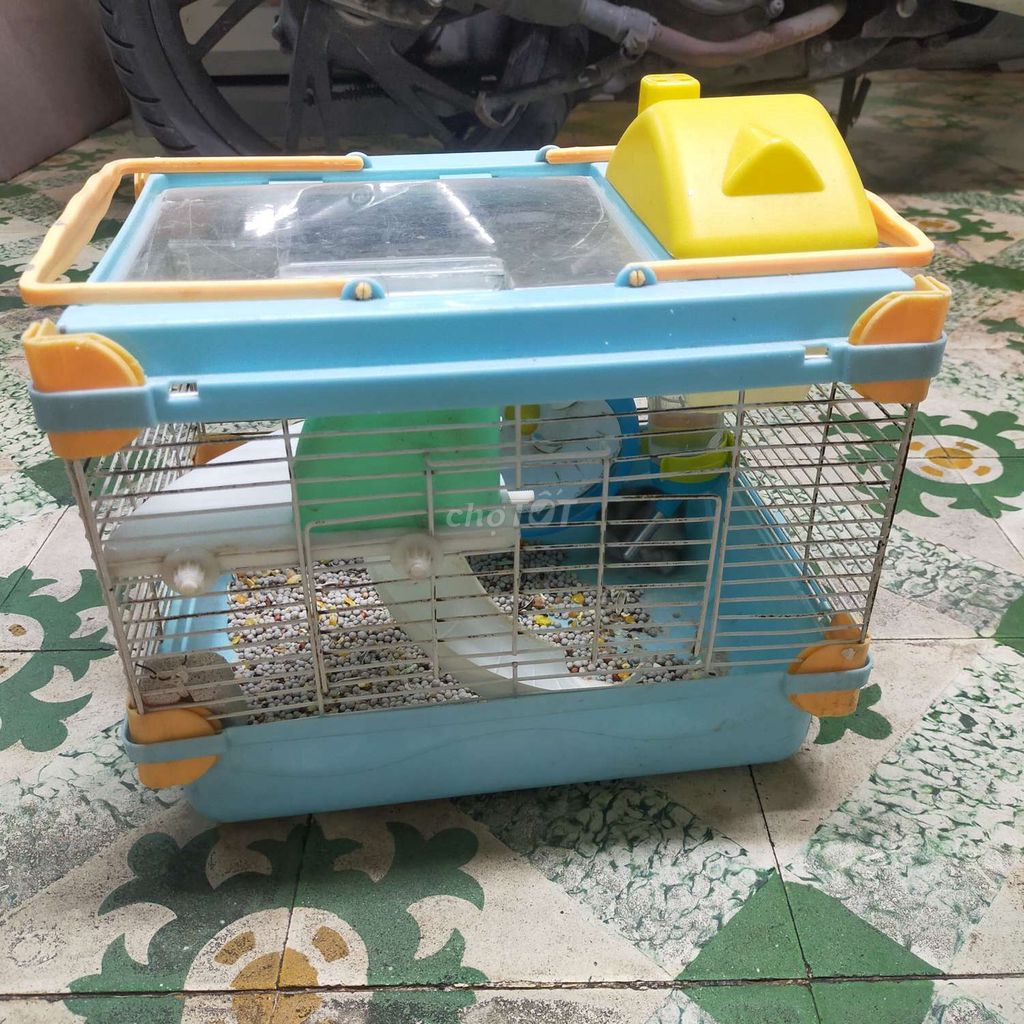 CHUỘT HAMSTER