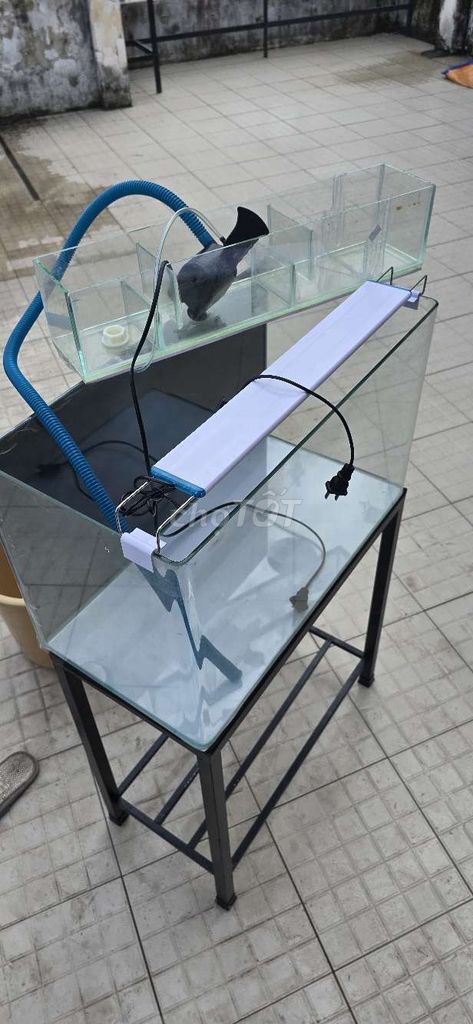 Hồ đúc 60cm