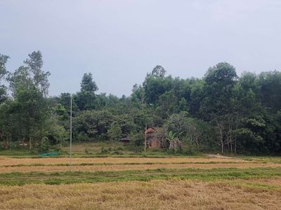 cần bán đất Thăng Bình
